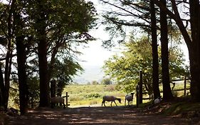 Wheal Tor Hotel & Glamping